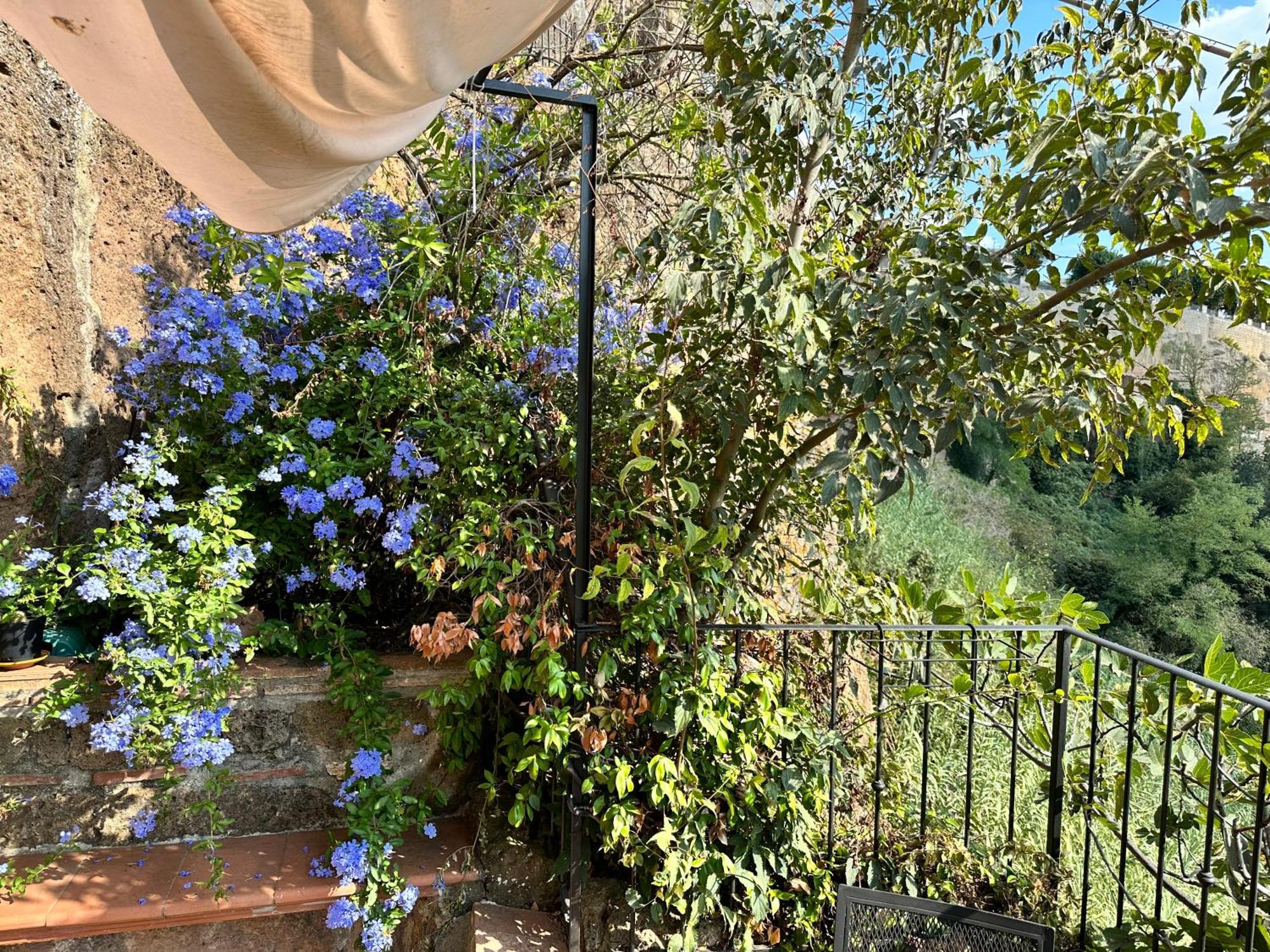 Villa Terrazza Sul Tufo Pitigliano Exterior foto